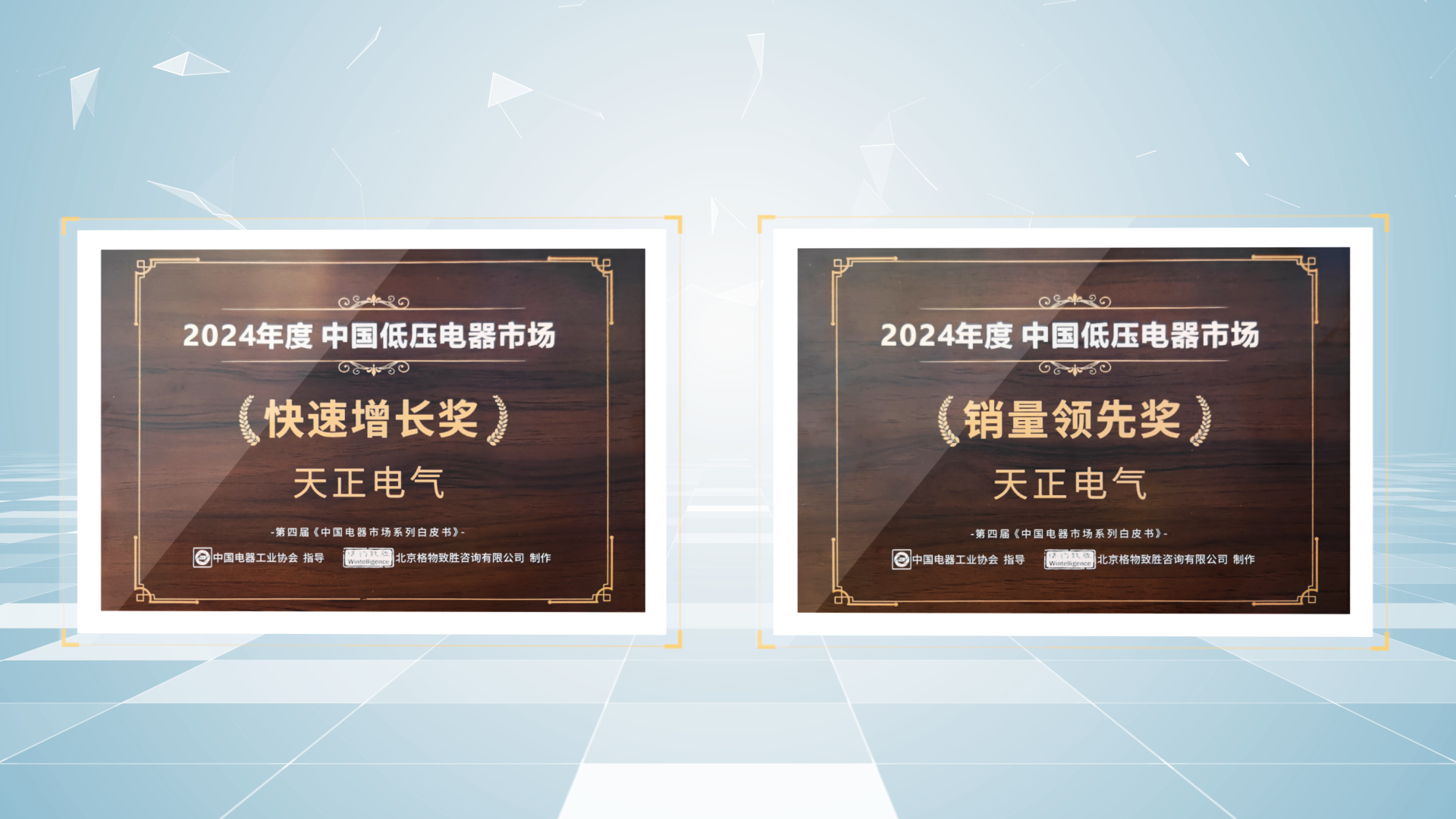 销量领先、快速增长丨拉斯维加斯9888荣膺2项行业年度大奖